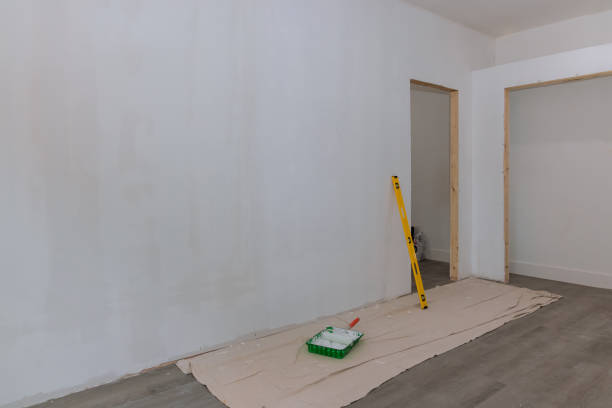 Best Emergency Mold Remediation  in New Iberia, LA